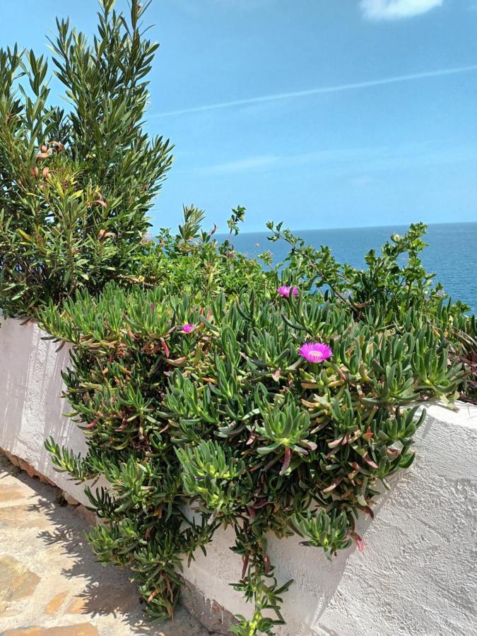 Mirabello Sea House 圣尼古拉奥斯 外观 照片