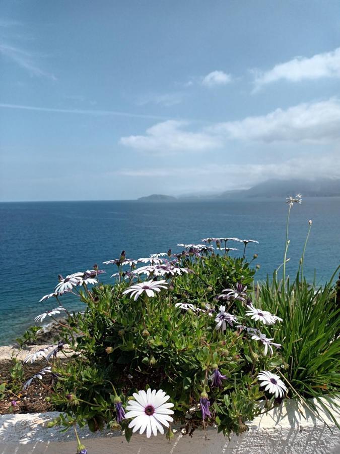 Mirabello Sea House 圣尼古拉奥斯 外观 照片